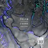 Felix Johansson Carne - Florescence - Single